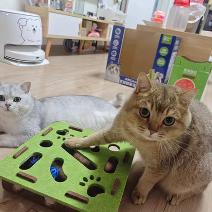 لوحة لعب تفاعلية للقطط – Interactive Cat Play Board